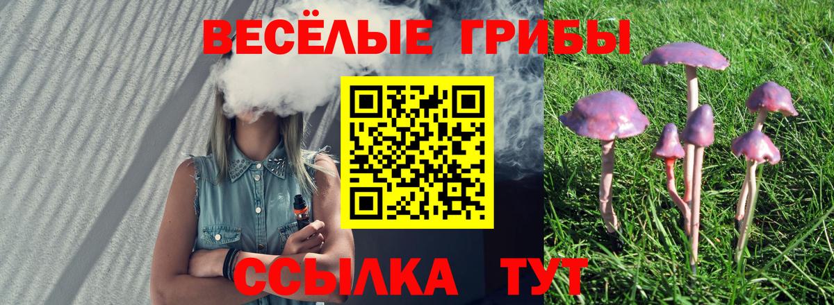 Псилоцибиновые грибы прущие грибы  Вход с VPN  Новодвинск 