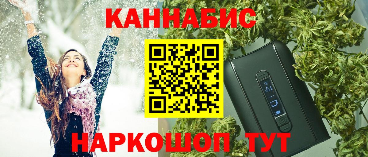 Бошки Шишки план Новодвинск